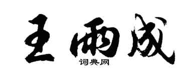 胡问遂王雨成行书个性签名怎么写