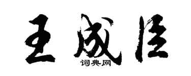 胡问遂王成臣行书个性签名怎么写