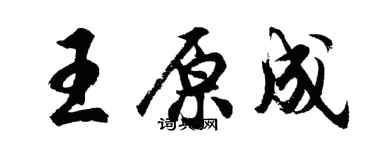 胡问遂王原成行书个性签名怎么写