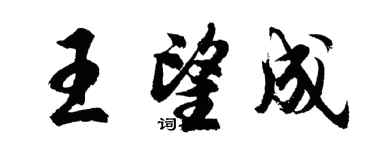 胡问遂王望成行书个性签名怎么写