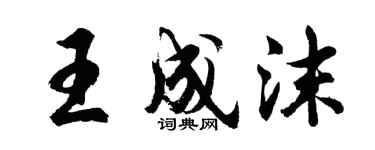 胡问遂王成沫行书个性签名怎么写