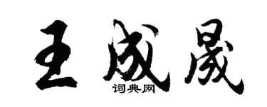 胡问遂王成晟行书个性签名怎么写