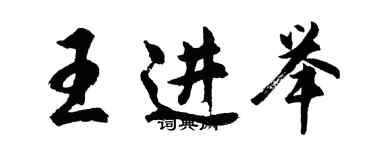 胡问遂王进举行书个性签名怎么写
