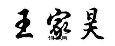胡问遂王家昊行书个性签名怎么写