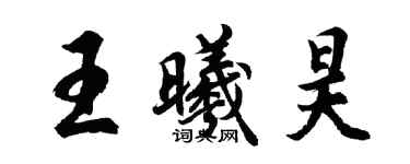 胡问遂王曦昊行书个性签名怎么写