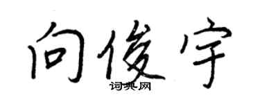 王正良向俊宇行书个性签名怎么写