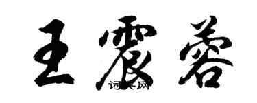 胡问遂王震蓉行书个性签名怎么写