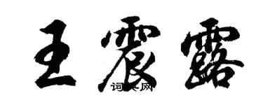 胡问遂王震露行书个性签名怎么写