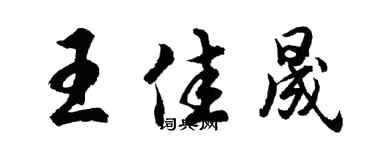 胡问遂王佳晟行书个性签名怎么写