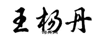 胡问遂王杨丹行书个性签名怎么写