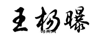 胡问遂王杨曝行书个性签名怎么写