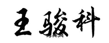 胡问遂王骏科行书个性签名怎么写