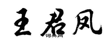 胡问遂王君凤行书个性签名怎么写