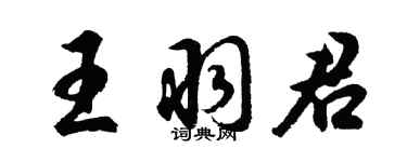 胡问遂王羽君行书个性签名怎么写