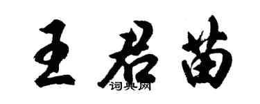 胡问遂王君苗行书个性签名怎么写