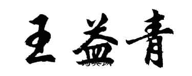 胡问遂王益青行书个性签名怎么写