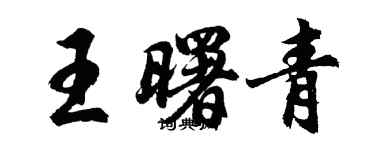 胡问遂王曙青行书个性签名怎么写