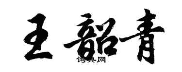 胡问遂王韶青行书个性签名怎么写