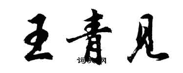 胡问遂王青见行书个性签名怎么写