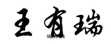 胡问遂王有瑞行书个性签名怎么写