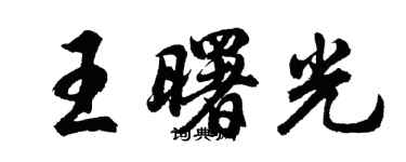 胡问遂王曙光行书个性签名怎么写