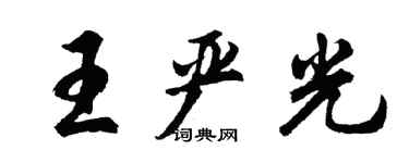 胡问遂王严光行书个性签名怎么写
