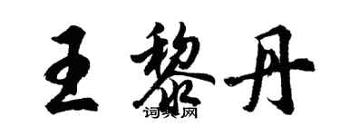 胡问遂王黎丹行书个性签名怎么写