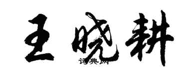 胡问遂王晓耕行书个性签名怎么写