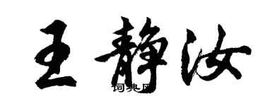 胡问遂王静汝行书个性签名怎么写