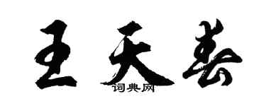 胡问遂王天春行书个性签名怎么写