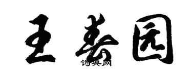 胡问遂王春园行书个性签名怎么写