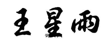 胡问遂王星雨行书个性签名怎么写