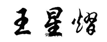 胡问遂王星熠行书个性签名怎么写