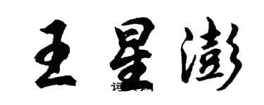 胡问遂王星澎行书个性签名怎么写