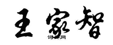胡问遂王家智行书个性签名怎么写
