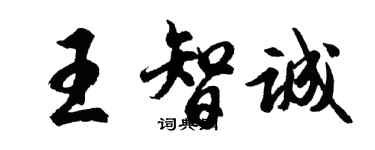 胡问遂王智诚行书个性签名怎么写