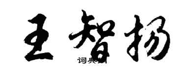 胡问遂王智扬行书个性签名怎么写