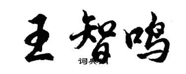 胡问遂王智鸣行书个性签名怎么写