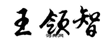 胡问遂王领智行书个性签名怎么写