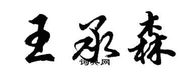 胡问遂王承森行书个性签名怎么写