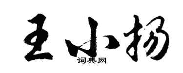 胡问遂王小扬行书个性签名怎么写