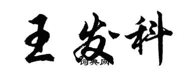 胡问遂王发科行书个性签名怎么写