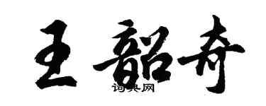 胡问遂王韶奇行书个性签名怎么写