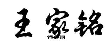 胡问遂王家铭行书个性签名怎么写