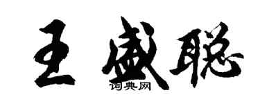 胡问遂王盛聪行书个性签名怎么写