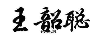 胡问遂王韶聪行书个性签名怎么写