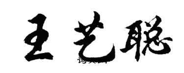胡问遂王艺聪行书个性签名怎么写