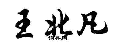 胡问遂王北凡行书个性签名怎么写