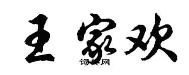 胡问遂王家欢行书个性签名怎么写