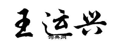 胡问遂王运兴行书个性签名怎么写
